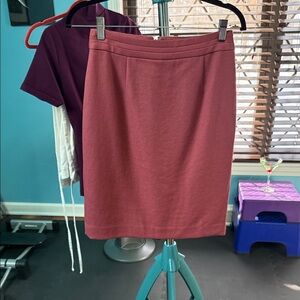 Elegant Pink Women's Skirt